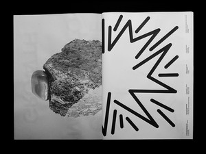 An Incomplete Manifesto for Growth picture n°2 by Nolan Paparelli