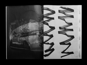 An Incomplete Manifesto for Growth picture n°5 by Nolan Paparelli