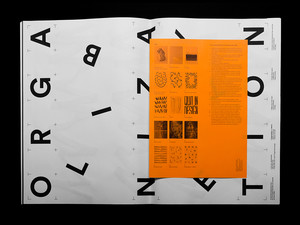 An Incomplete Manifesto for Growth picture n°6 by Nolan Paparelli