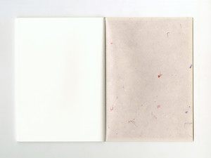 Cahier de Recherches picture n°5 by Nolan Paparelli